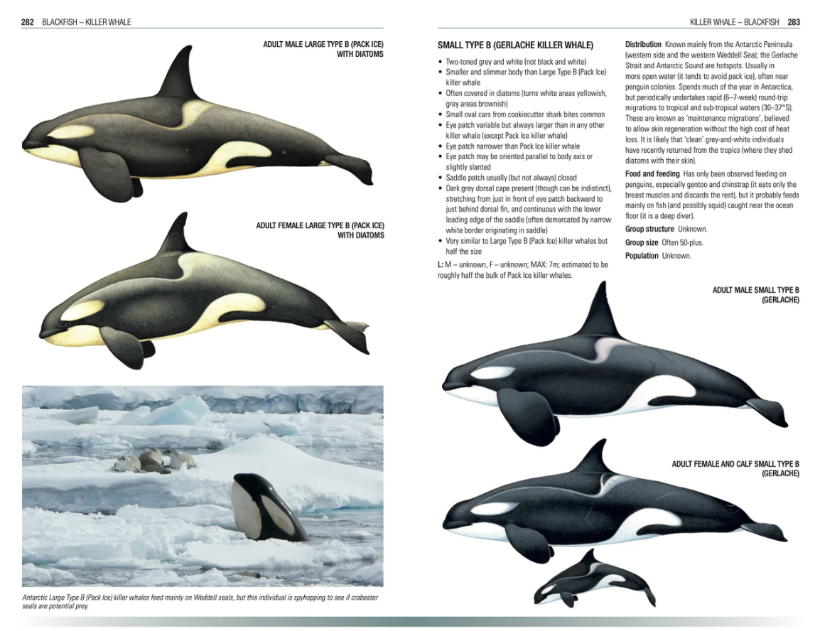 Handbook of Whales, Dolphins and Porpoises